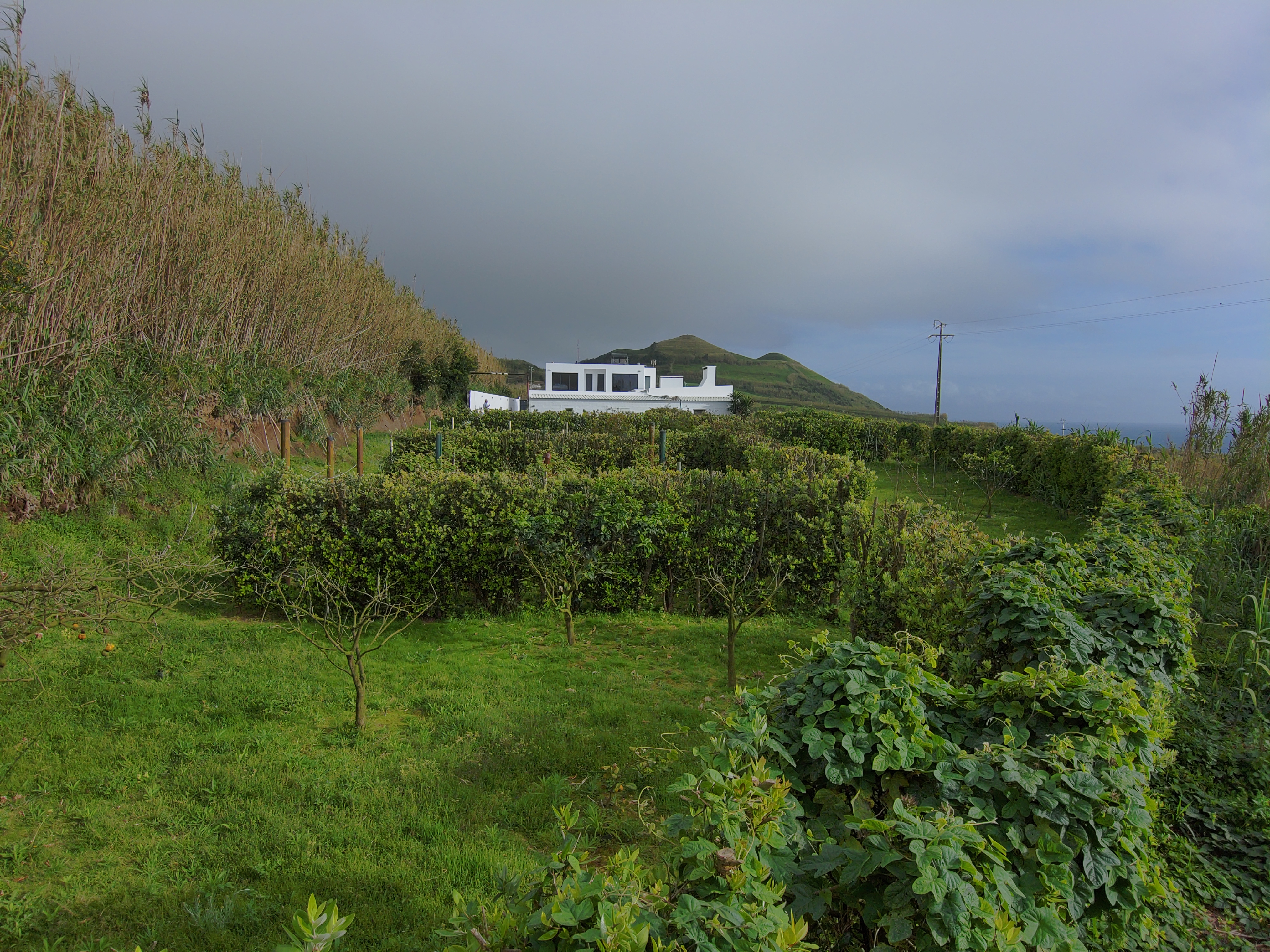 Outdoor sauna and gym space